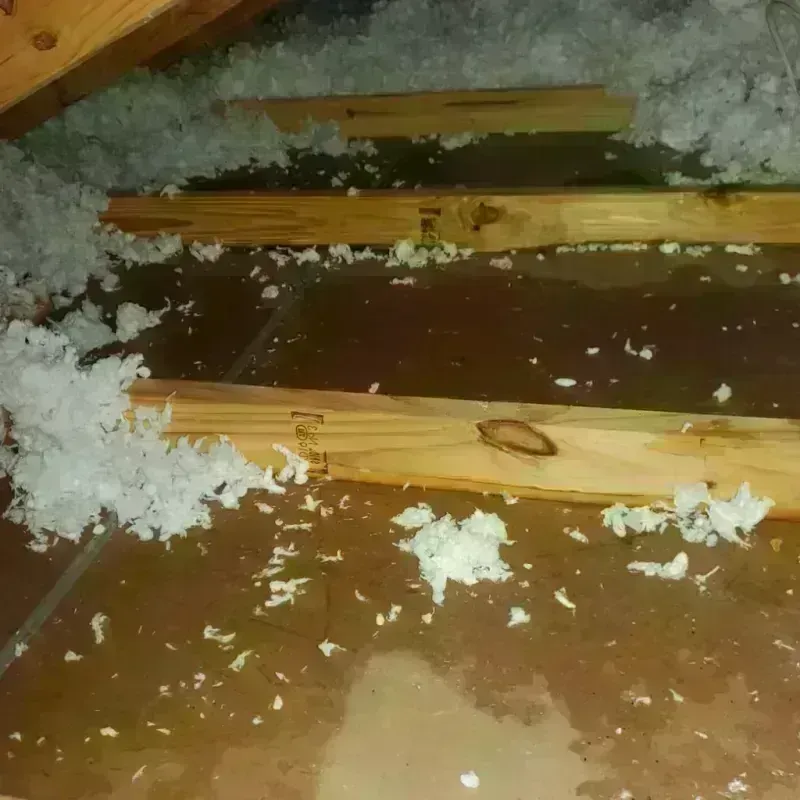 Attic Water Damage in Centreville, AL